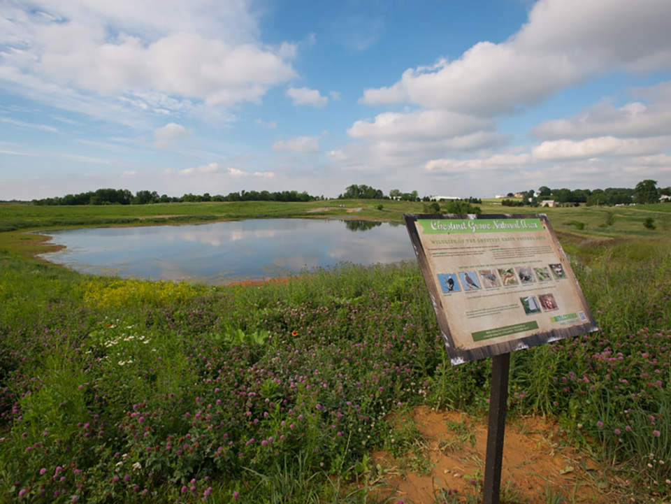 A beautiful wetland surrounded by grasslands.